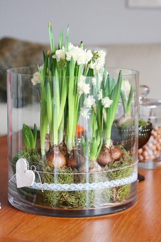 Vaso in vetro cilindrico largo Sandra Rich - 2 pz, shop online vasi piante  e fiori